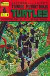 Teenage Mutant Ninja Turtles Authorized Martial Arts Training Manual comic books